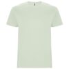 mist-green